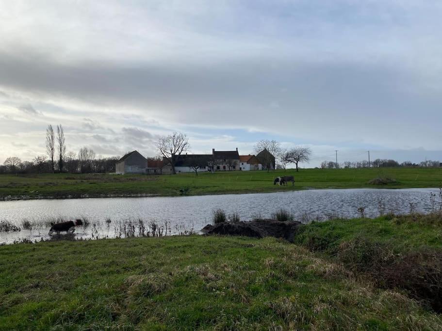 Villenouan Domaine Et Gites Lailly-en-Val Kültér fotó