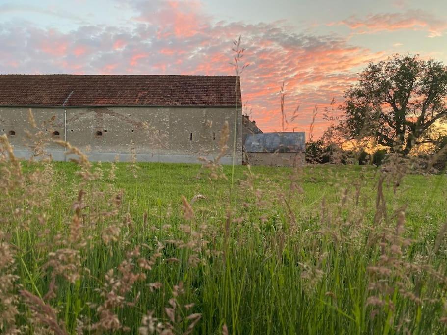 Villenouan Domaine Et Gites Lailly-en-Val Kültér fotó